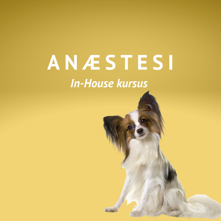 Anæstesi in house kursus (2)